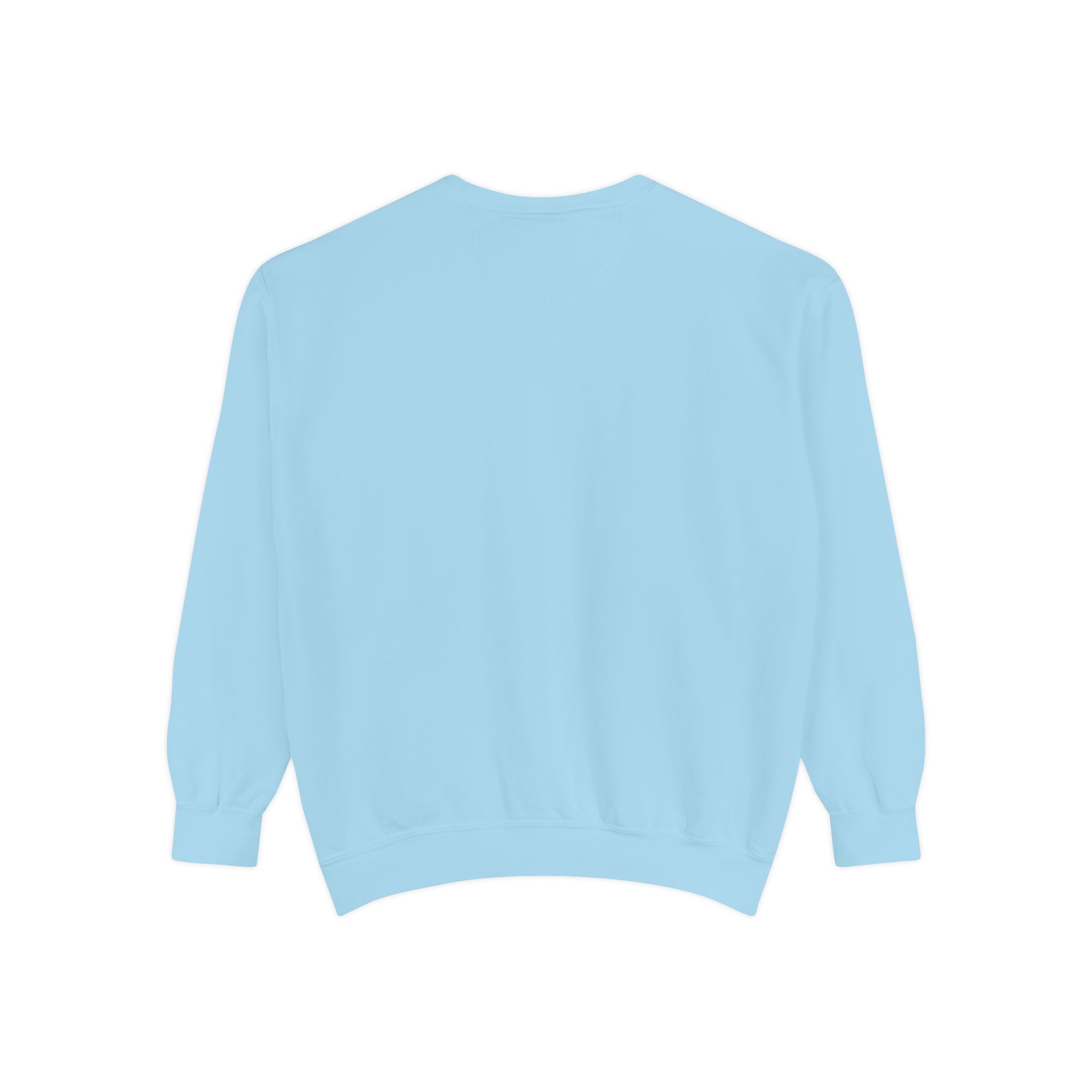 Shop Blue USA Sweatshirt — Light Blue Script Pullover