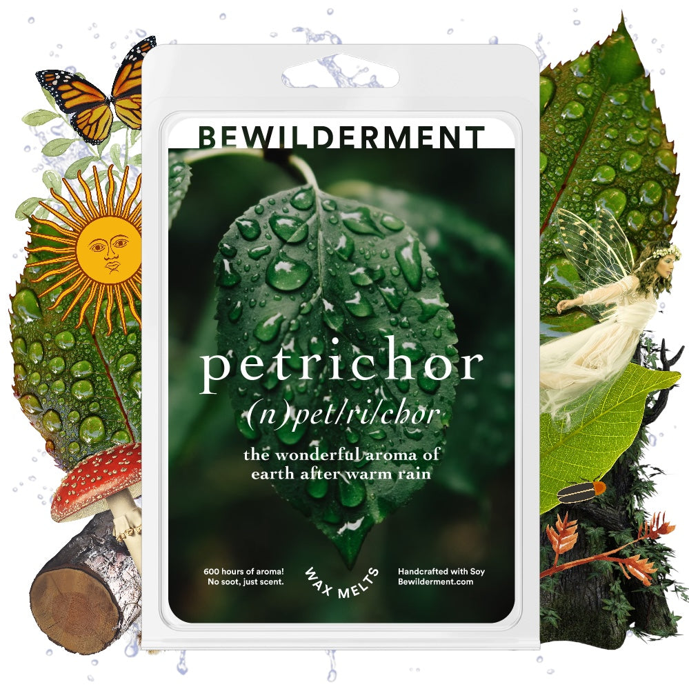Petrichor Wax Melts