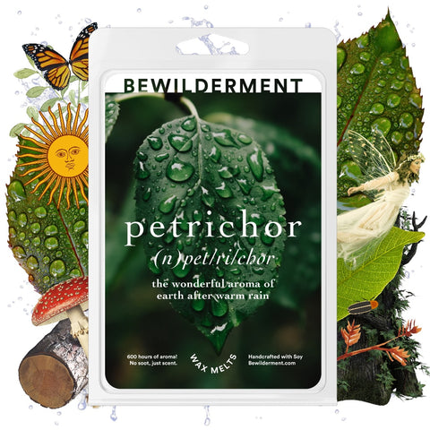 Petrichor Wax Melts