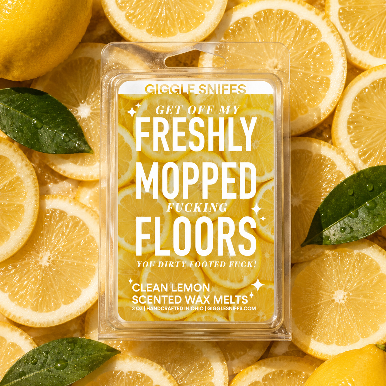 Freshly Mopped Floors Wax Melts
