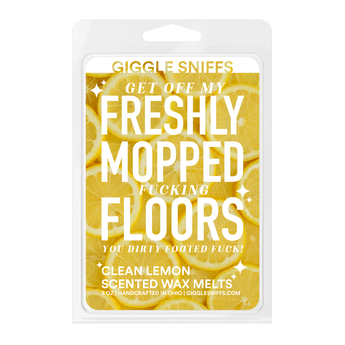 Freshly Mopped Floors Wax Melts