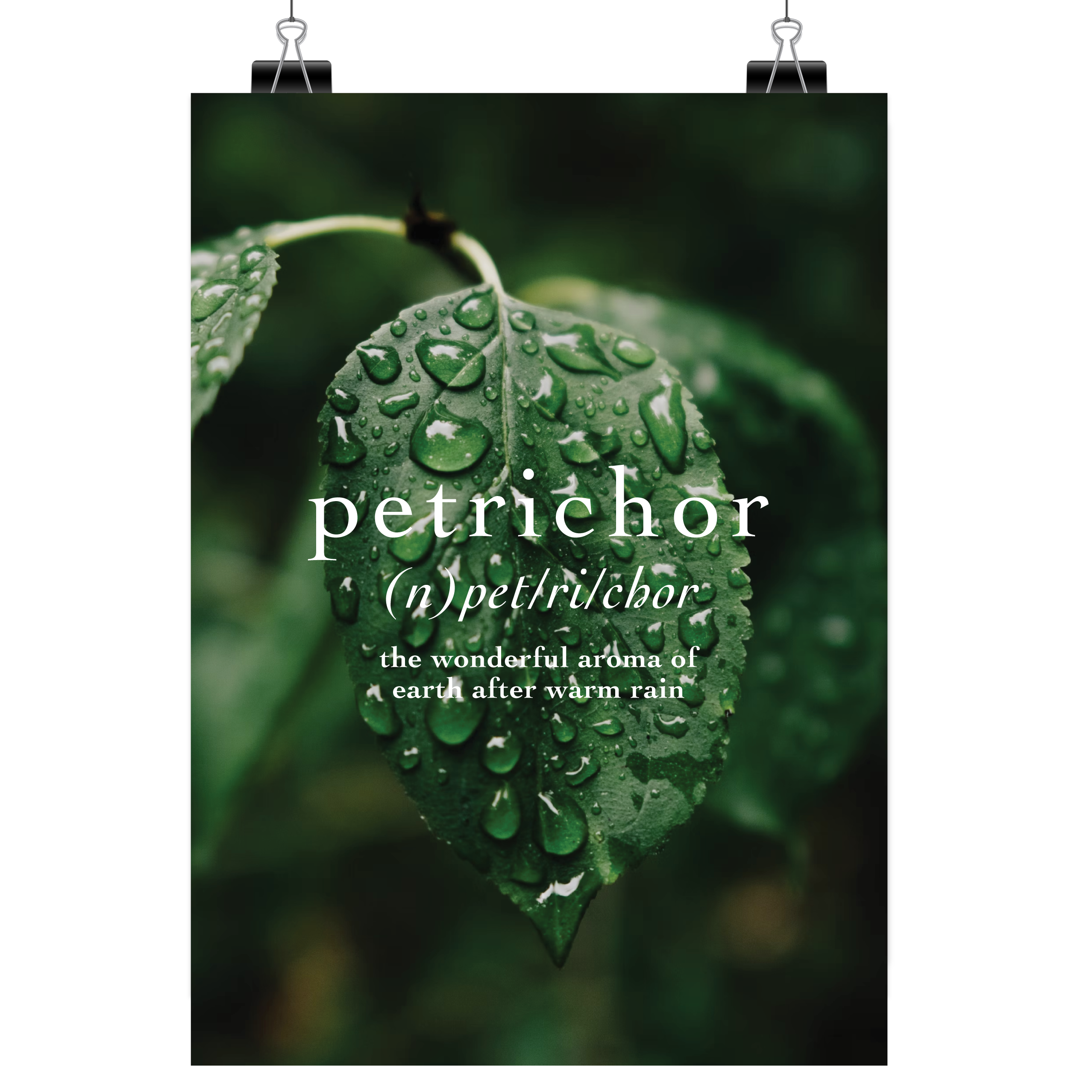 Petrichor - Large Art Print (8 x 10) Velvet Matte Type