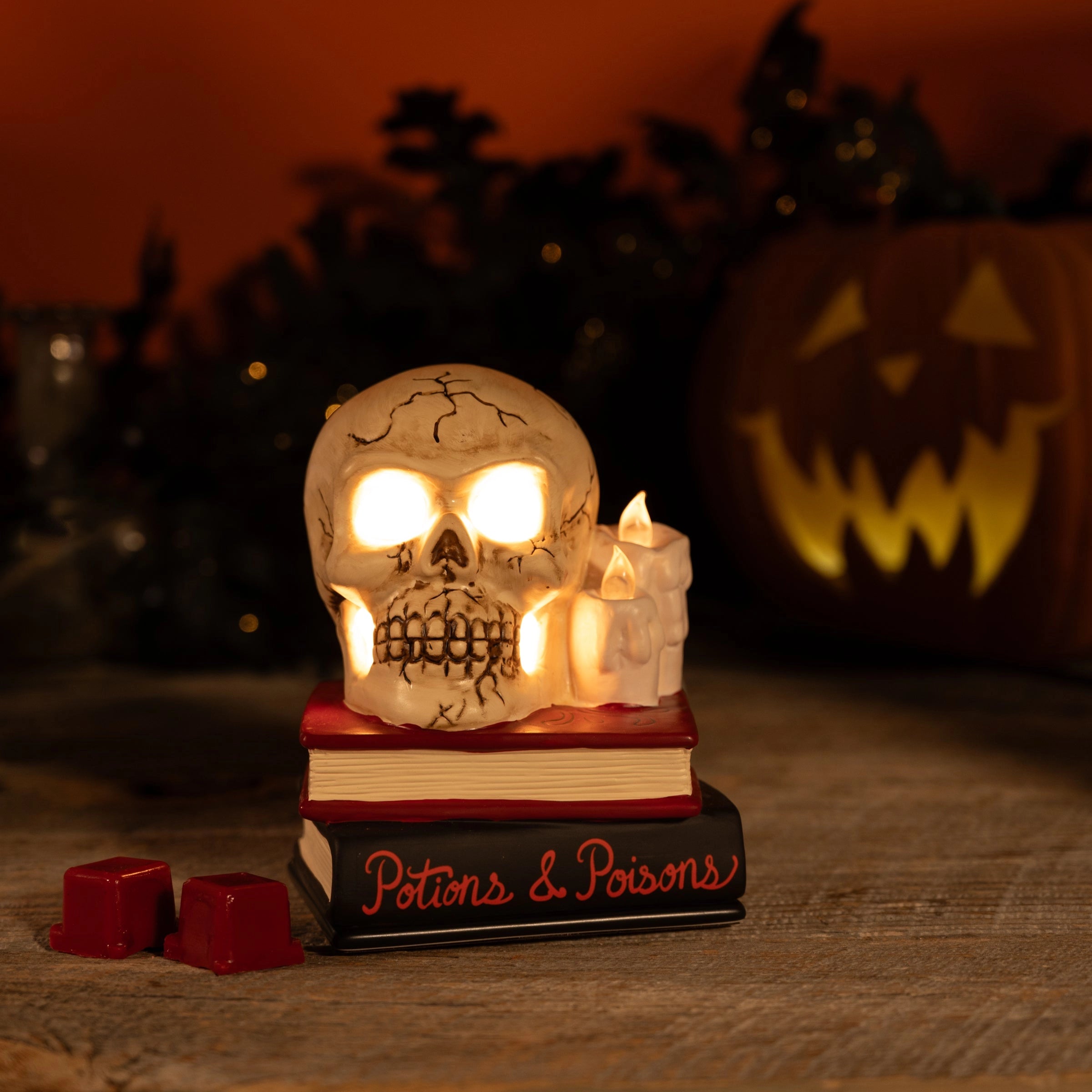 Skulls & Spells Electric Wax Warmer with Bulb