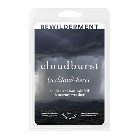 Cloudburst Wax Melts