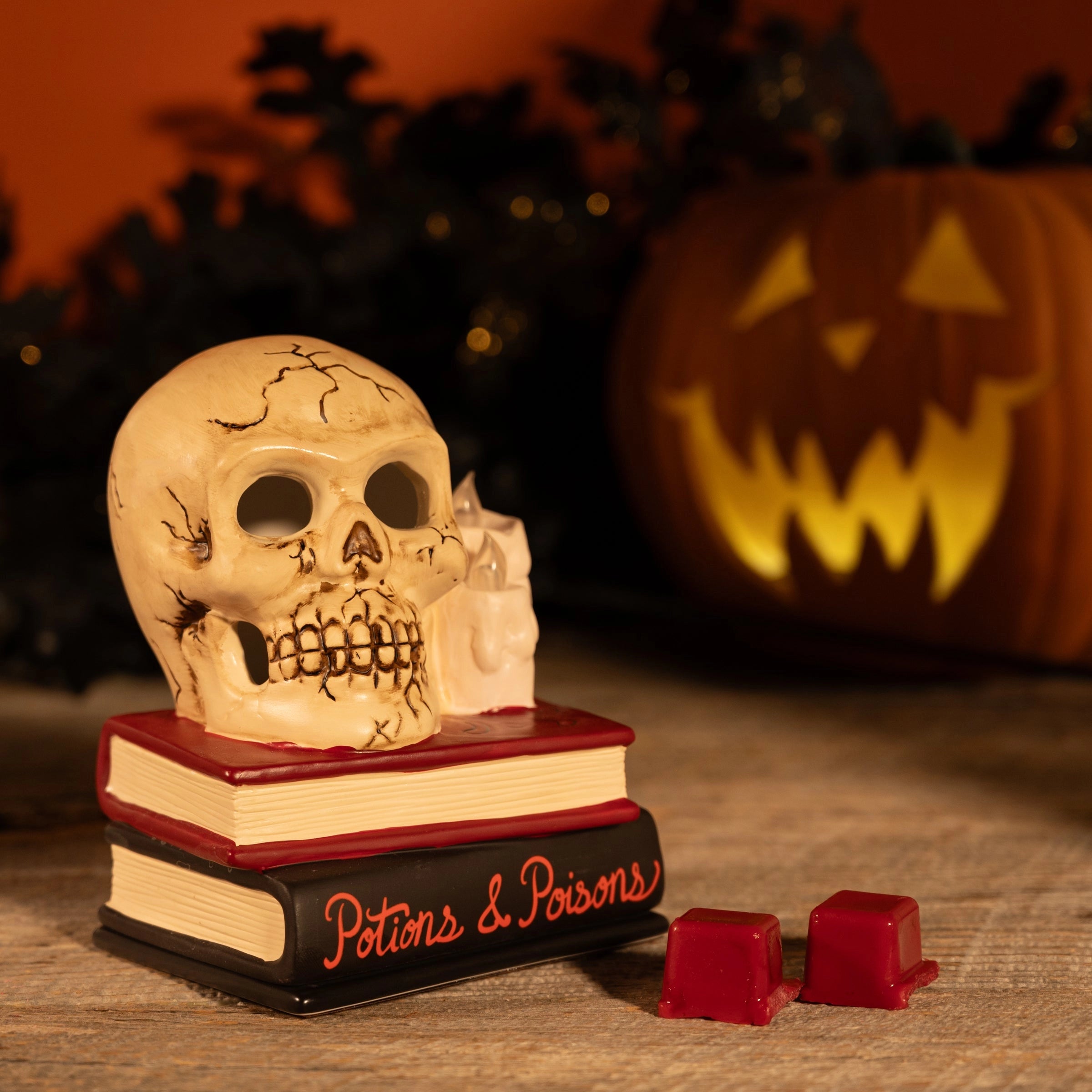 Skulls & Spells Electric Wax Warmer with Bulb