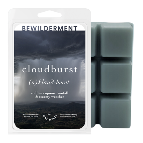 Cloudburst Wax Melts