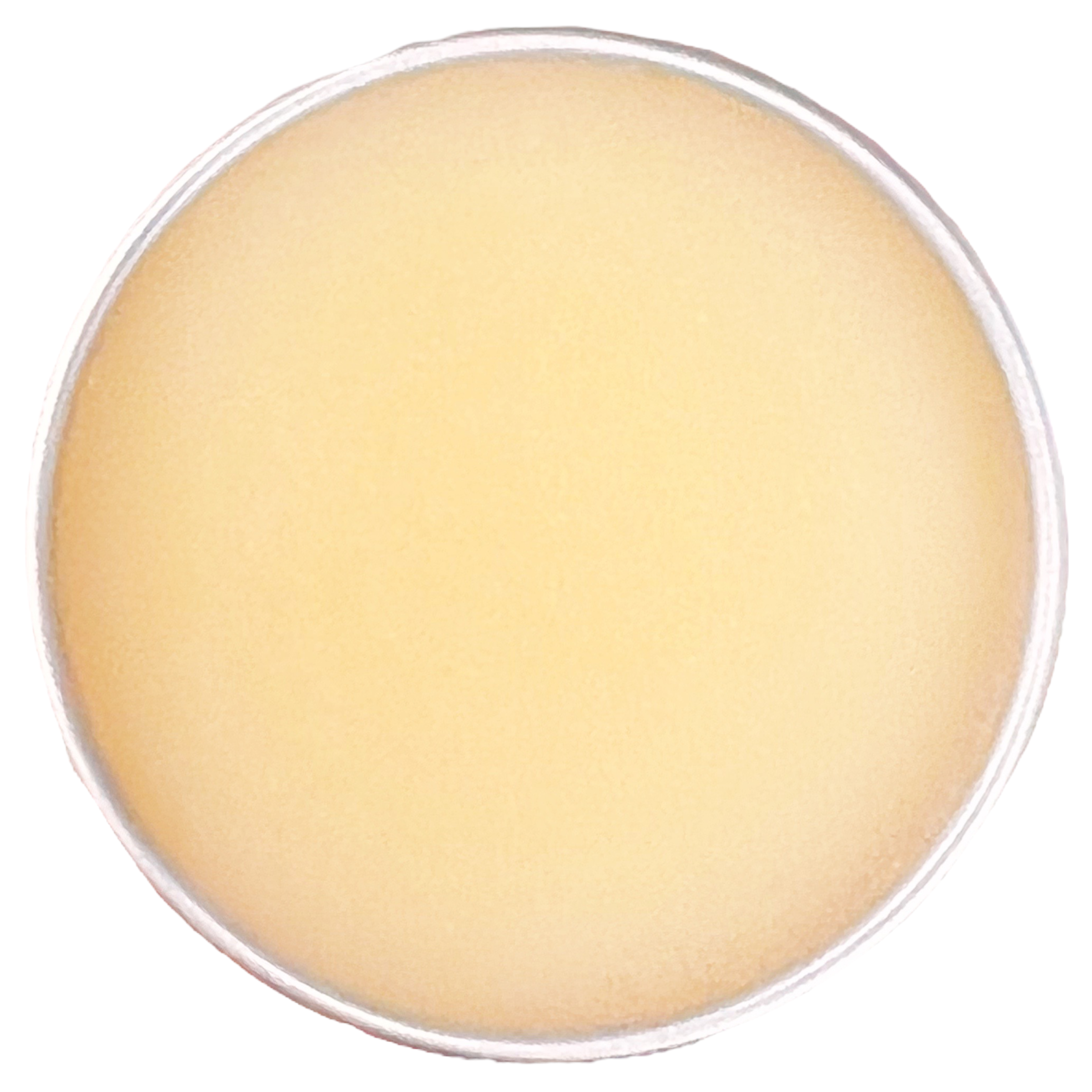 Koko Butter - Nose & Paw Butter